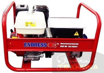 ESE 606 HS Endress Honda