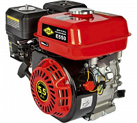 E550-S20 DDE Двигатель бенз.4-х такт. 5,5 л.с,163см3,3,6л,14,3кг/792-858